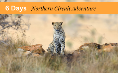 6 days Northern Circuit Adventure