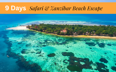 9 Days Safari & Zanzibar
