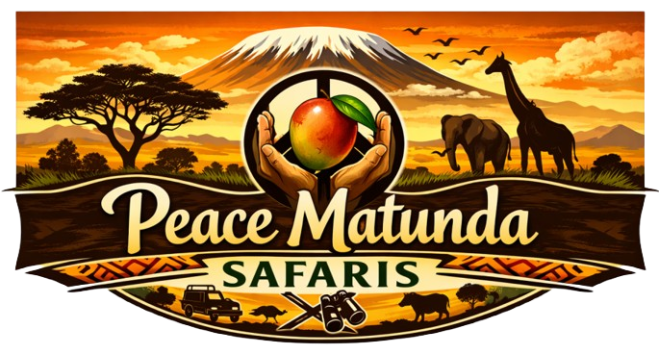 Peace Matunda Safaris