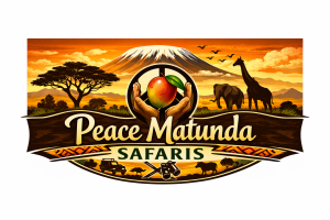 peace matunda safaris